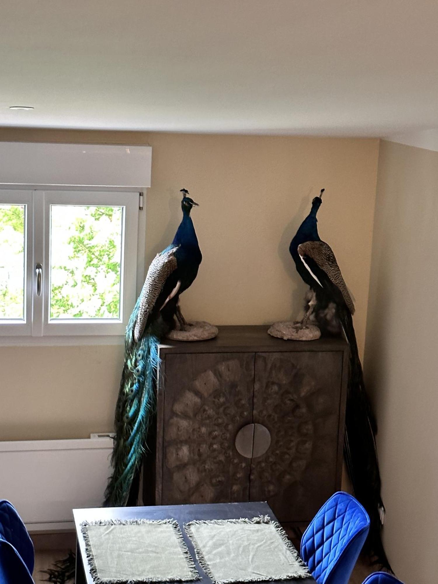 L'Opale - Le Jungle Appartement Les Attaques Kamer foto